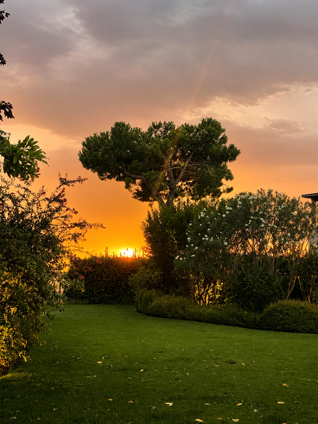 Villa Albarella