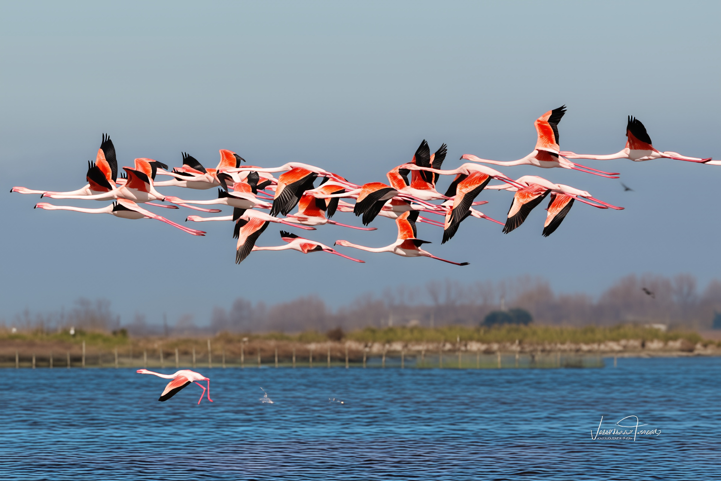 Villa Albarella lagoon view