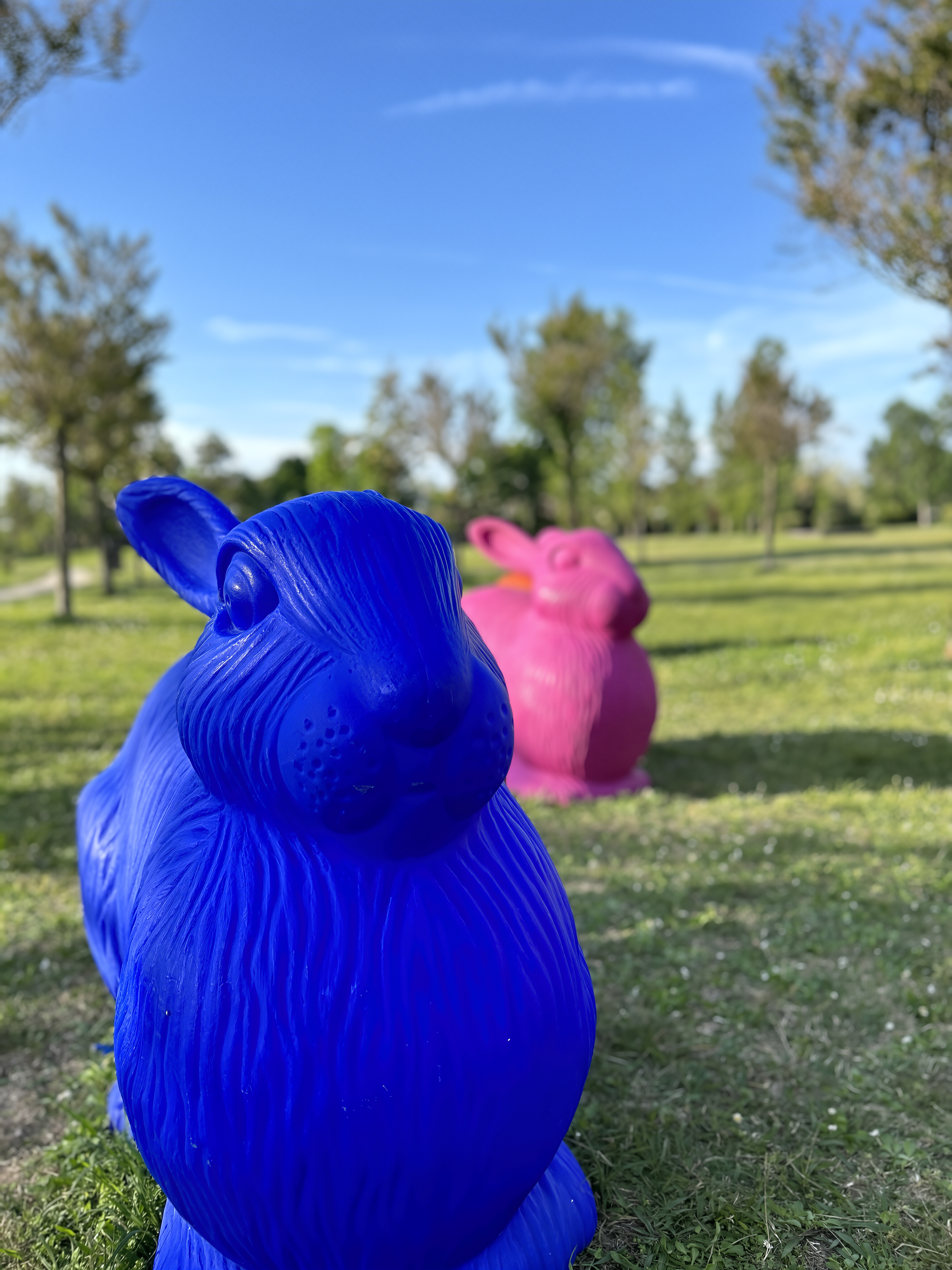 Villa Albarella view