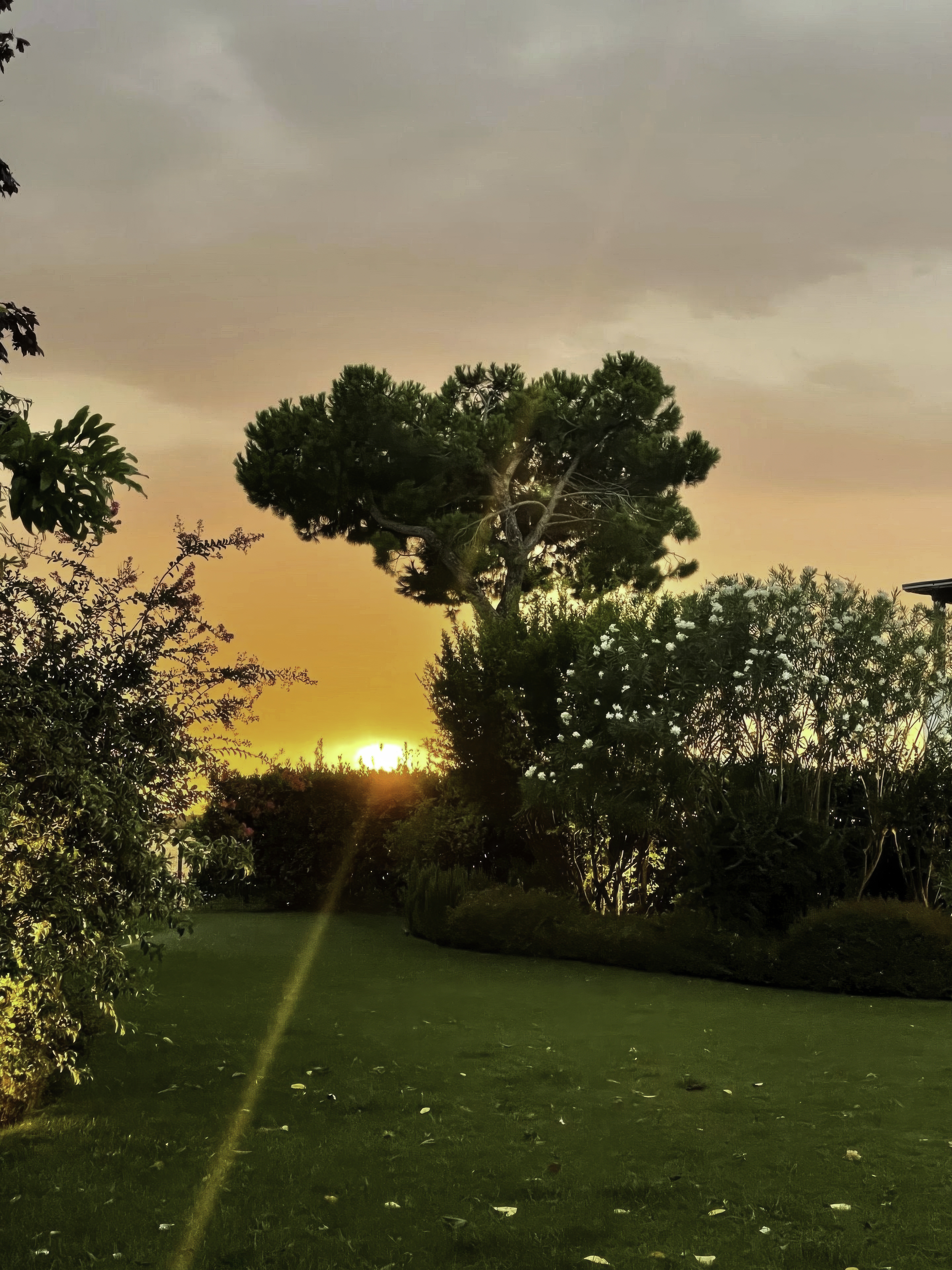 Villa Albarella backyard